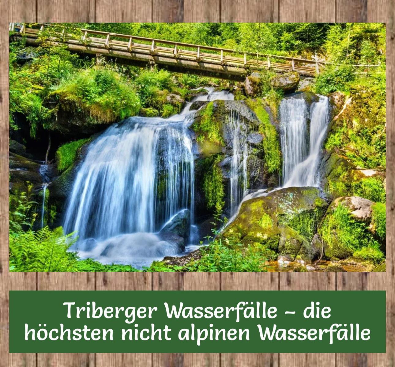 Littlehome Hornberg Bagian luar foto